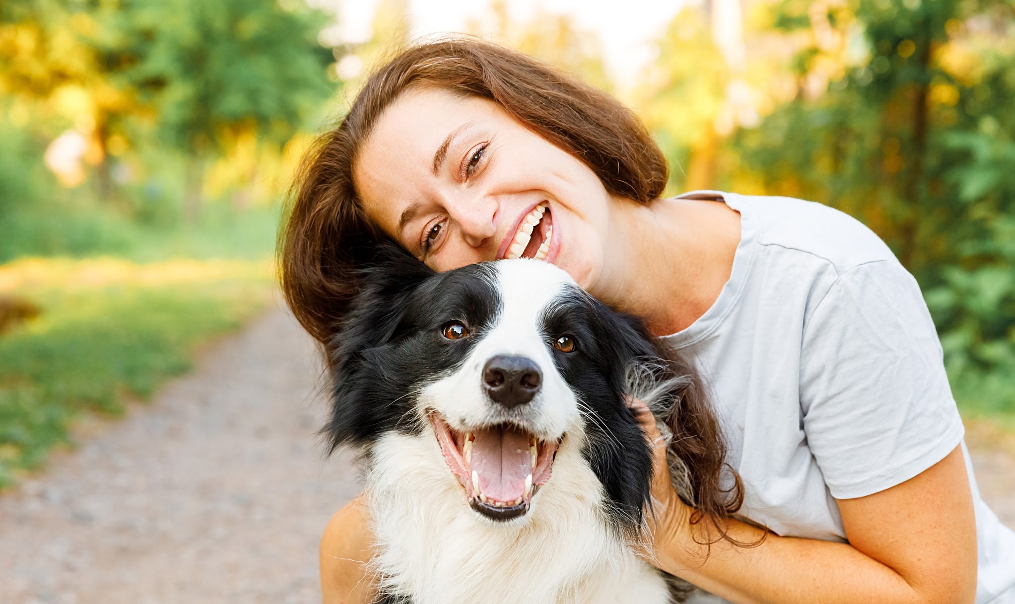 Improving the quality of life for all creatures